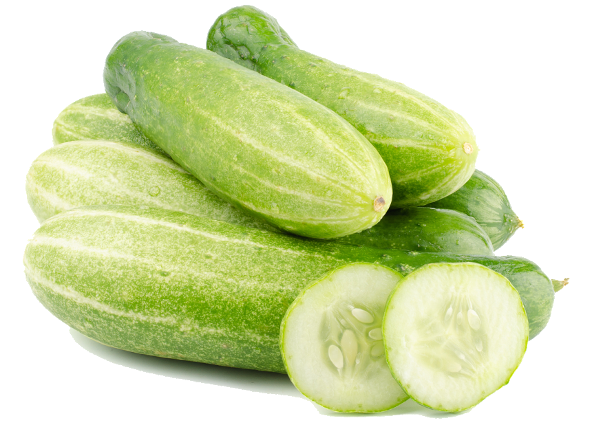 Timun. Огурец. Огурец фото. Фото огурца на белом фоне. Mini cucumber PNG.